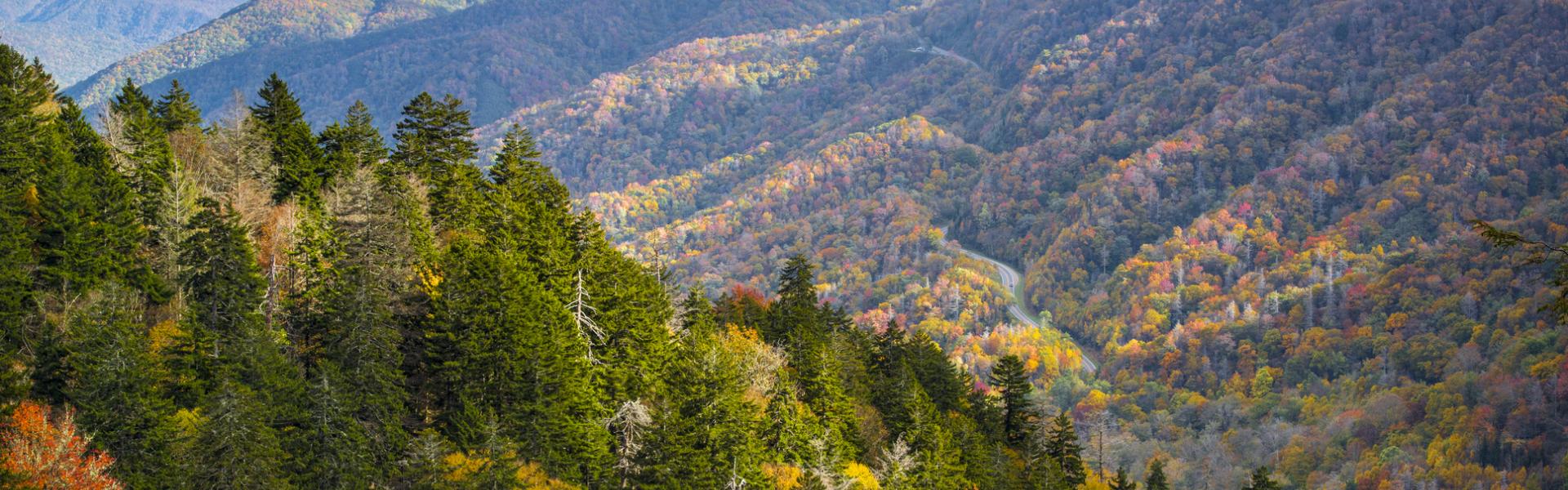 Cabin rentals in the Smoky Mountains, NC - HomeToGo
